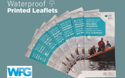 Waterproof Leaflets & Flyers