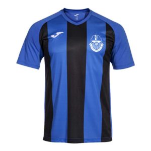 Berriew FC INTER IV ROYAL SHORT SLEEVE T SHIRT